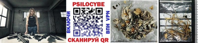 Купить закладки  Глазов  Галлюциногенные грибы прущие грибы 
